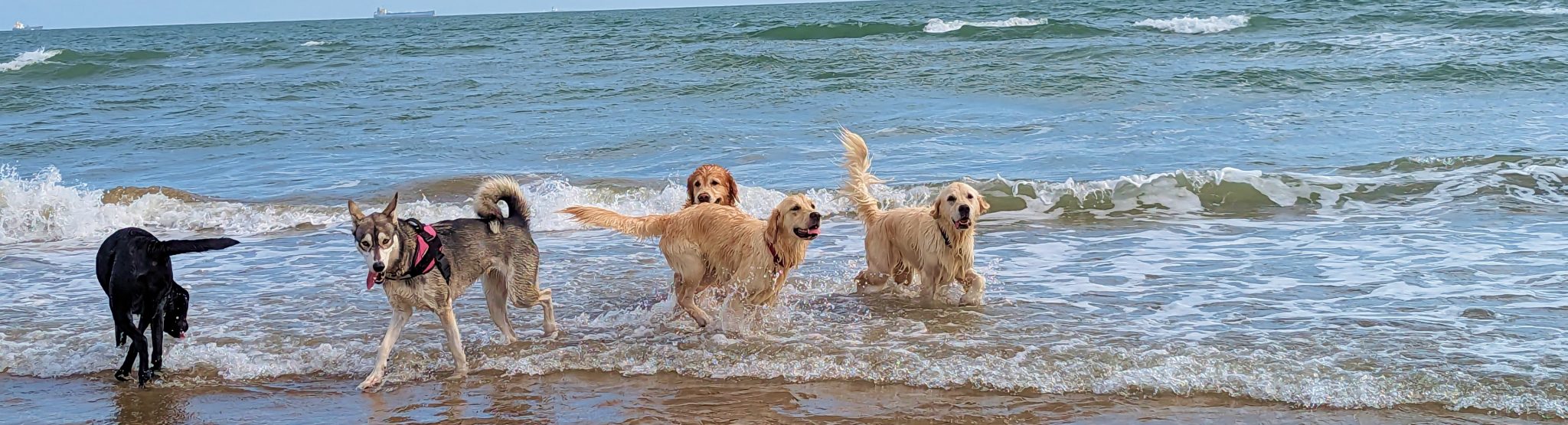 New holmwood hotel christmas menu